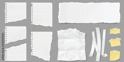 Photos Collection of torn white paper pieces lined sheets and sticky notes with ripped