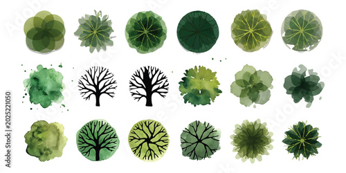 Set of top view trees for landscape architecture design and site plan elements