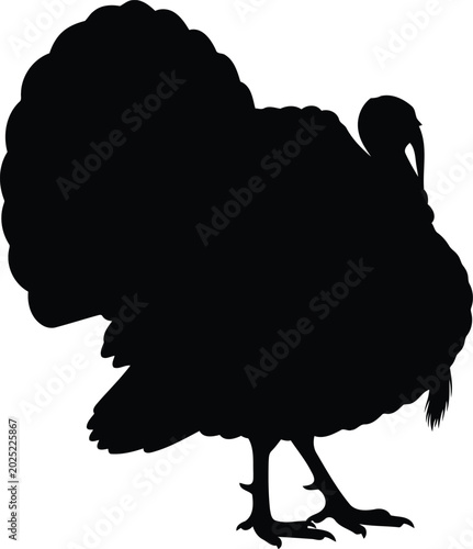 Foto Black silhouette donkey braying