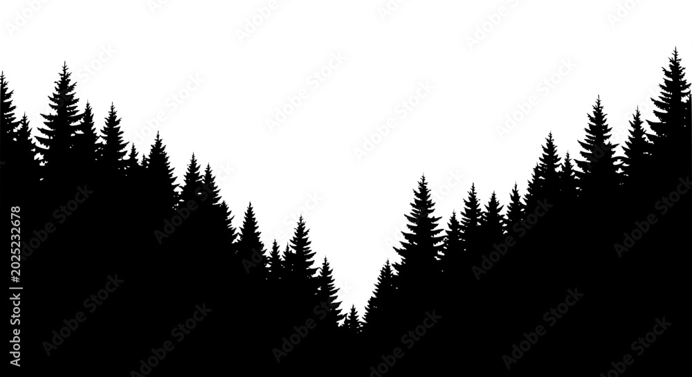 Obraz premium silhouette of coniferous pine forest trees on white background