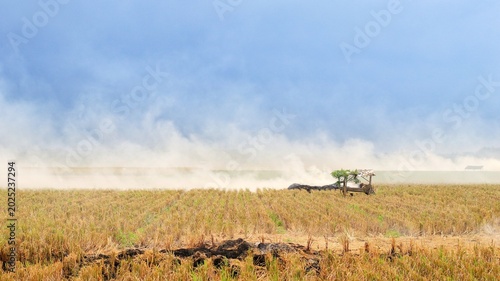Smoke from land burning covers a post-harvest rice field in a dry rural landscape with a hazy atmosphere