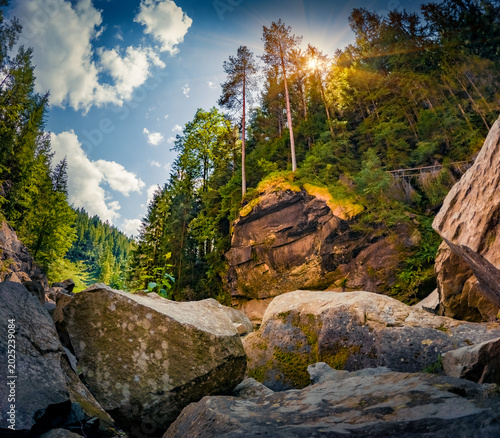 Tablou pe pânză Fantastic view from the bottom of deep canyon to the top of trees