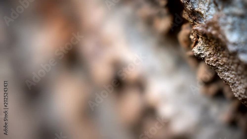 Water Dripping from Rocky Surface in Natural Setting