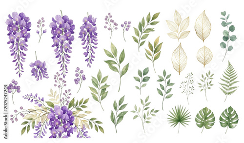 Watercolor botanical leaves clipart collection vector isolated on white background