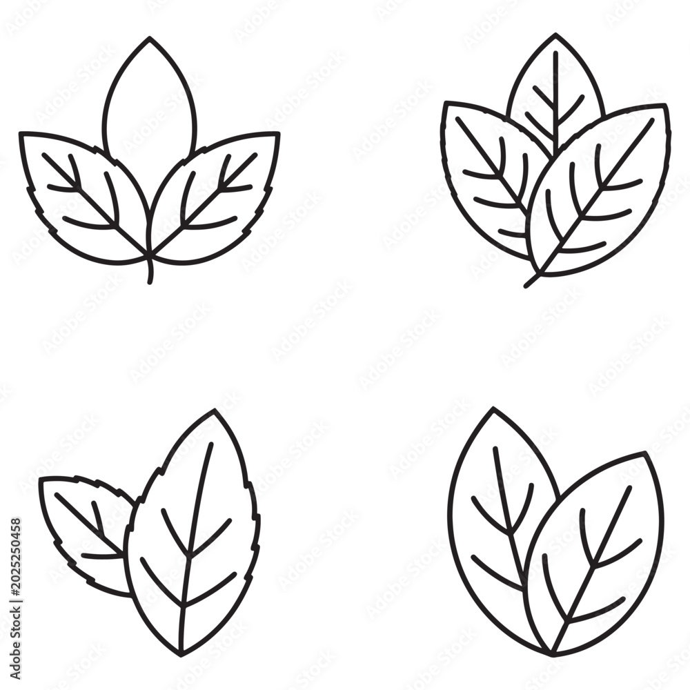 Fototapeta premium Four leaf line icons in different shapes and sizes with detailed veins isolated on white background simple botanical illustrations for design and decoration