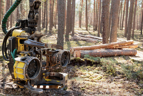 Forest harvester felling head Heavy forestry vehicle employed in cut-to-length logging operations for felling, delimbing trees.