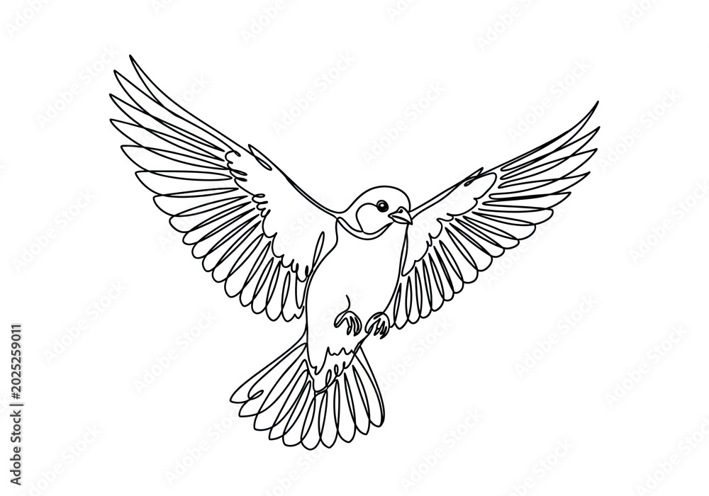 Obraz premium Front view line art illustration of bird flying.