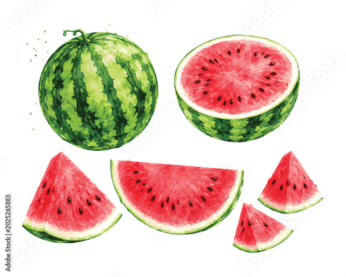 Foto Fresh Watermelon Slices and Whole Fruit Illustration.
