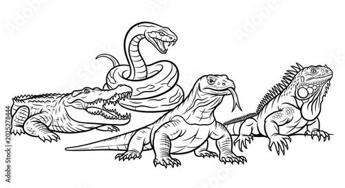 Line art illustration of reptile species including alligator snake iguana and komodo dragon