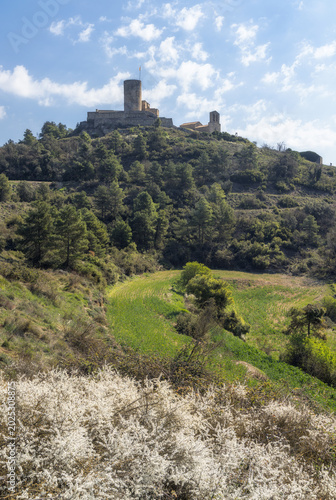 Obraz na plátne Boixadors Castle atop a verdant hill in Anoia, Catalonia