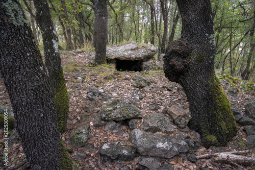 Colomera Dolmen in Ancient Forest, Vall de Cabó, Catalonia
