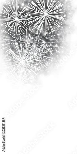 Dazzling black and white fireworks display on a white background, ||fireworks, sparkling