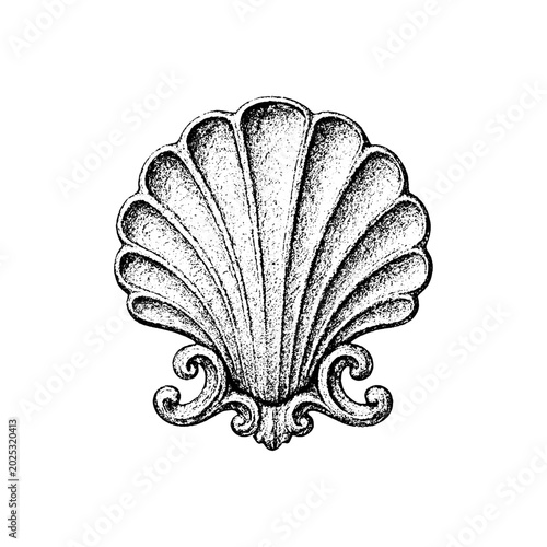 Vintage seashell ornament design with art nouveau art deco hand drawn seashell ornament decorative engraved