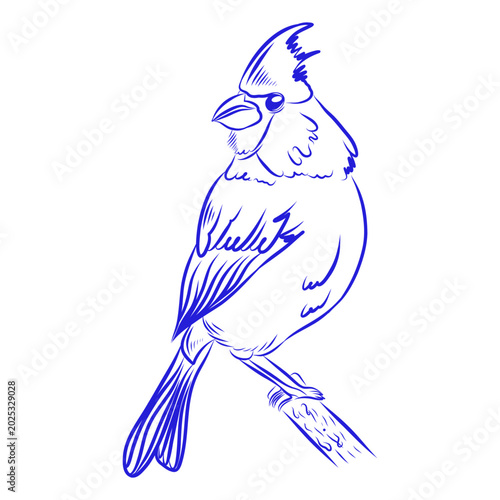 Hand-drawn vector sketch of a bird, blue line art on a white background