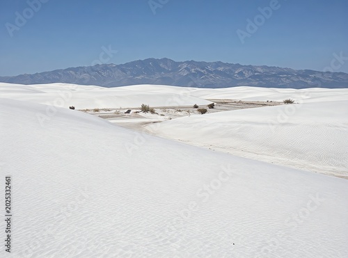 Vast White Sand Dunes Under a Clear Blue Sky