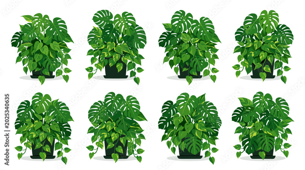 Naklejka premium Collection of eight potted houseplants featuring lush green foliage and trailing vines, perfect for home decor and interior design inspiration