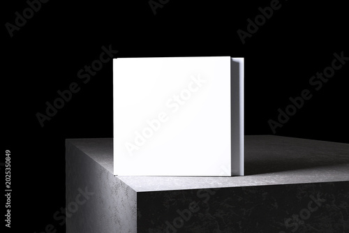 Foto Book Cover Blank