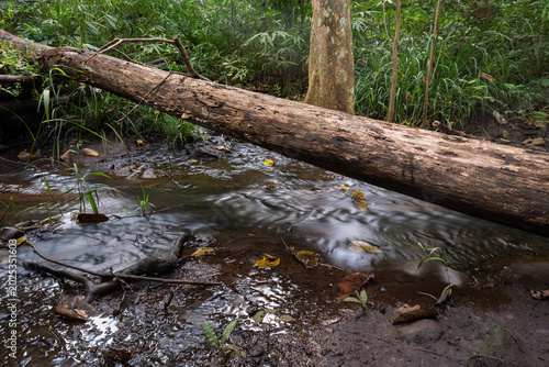 Deep Forest Creek at Namtok Samlan