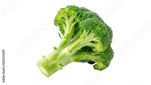 Tableau sur toile A single fresh raw organic green broccoli head vegetable healthy florets superfo