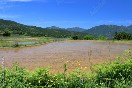 天空の棚田を眺める　高知県本山町吉延