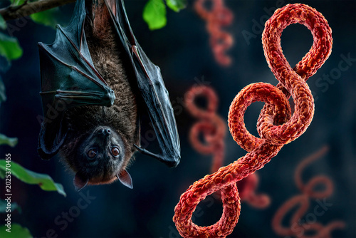 Fruit Bat as Natural Ebola Virus Reservoir With Filovirus Pathogen in Dark Tropical Forest and Zoonotic Disease Transmission Concept