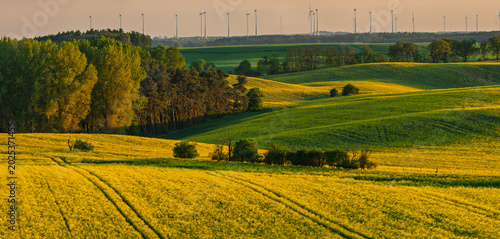Obraz na plátně The intensely green spring fields of the Brandenburg region, Germany-Panorama