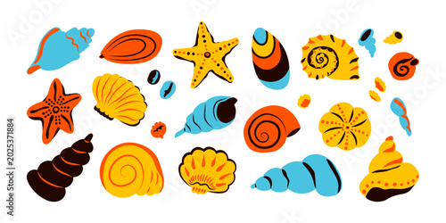 Foto Sea shells set, mollusks, starfish
