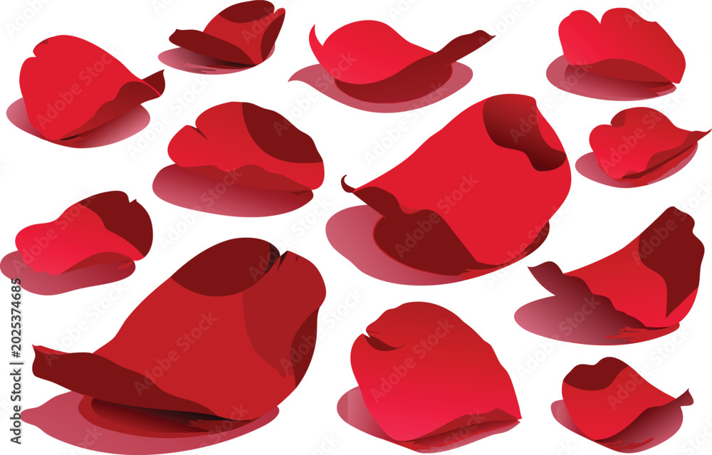 Fototapeta premium Set of scattered red rose flower petals