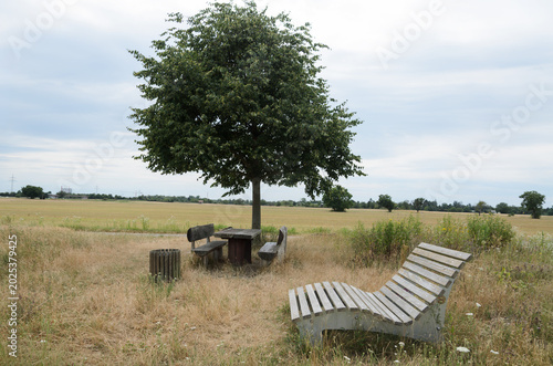 Resting area with benches under tree