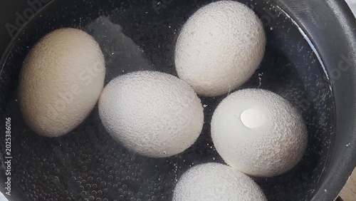 Tableau sur toile White chicken eggs are boiling in a black pot in the water