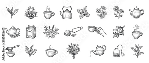 Various hand-drawn vintage tea elements including leaves, flowers, teapots, cups, and herbs in a classic engraving style