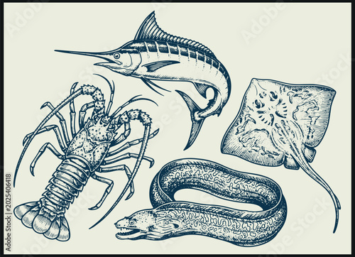 Foto vintage marine illustration of lobster swordfish stingray and eel with detailed