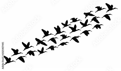 Foto Monochrome glossy ibis bird flock silhouette flying diagonally minimalist vector