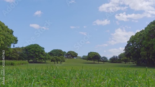 日本の風景・青空と新緑｜千葉県千葉市・千葉ポートパーク