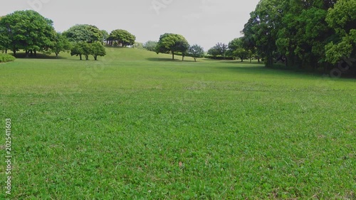日本の晴れた日の公園・広場｜千葉県千葉市・千葉ポートパーク