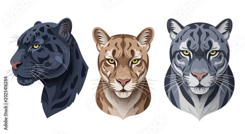 Photography Three Big Cat Portraits: Black Panther, Cougar, Snow Leopard - Vector Art