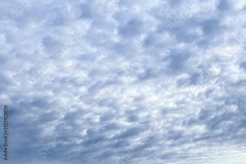 Tableau sur toile 曇り空に広がるモクモクしたひつじ雲