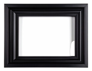 Ornate black picture frame with a small chip on the lower right corner