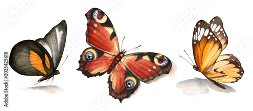 Foto Watercolor hand drawn set with illustration of beautiful butterflies with shadows isolated on white background