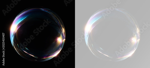 Obraz na plátne Floating soap sphere capturing natural light