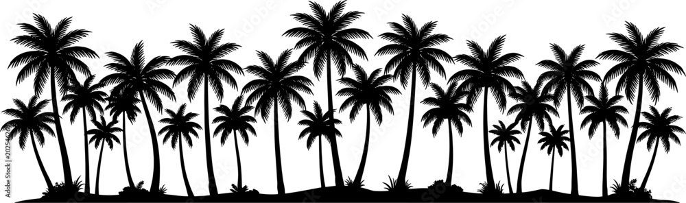 Fototapeta premium Long row of tropical palm trees silhouette against a clear sky
