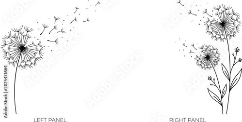 Photos Minimalist dandelion line art vectors with blowing seeds and flying petals on a