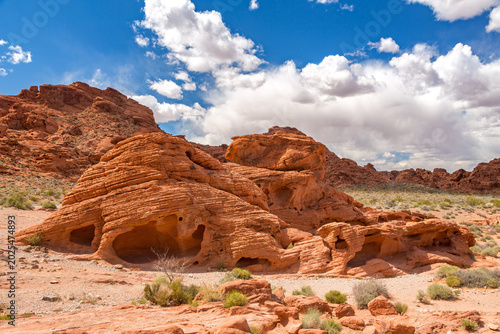 The stunning red rock formations of the Valley of Fire State Park, Nevada, USA. Desert vegetation in the foreground with a summer sky background.