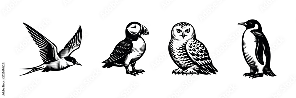 Obraz premium Collection of four distinct bird illustrations in a woodcut style