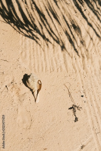 footprints on the sand