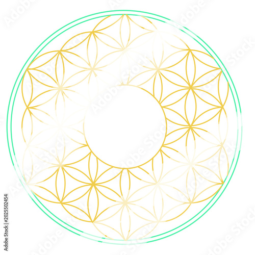 flower of life, line art