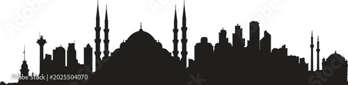 Photography İstanbul city skyline prepared in vector