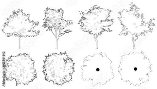 Obraz Set of red maple trees in elevation and plan view for use in architectural drawings - isolated on transparent background