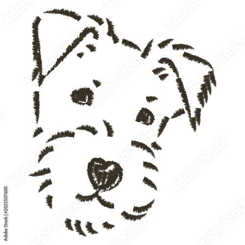 Foto Vector hand drawn fox terrier dog face with textured charcoal outlines