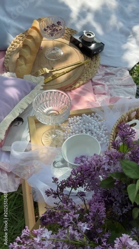 Aesthetic Picnic Setup With Baguette And Camera Video